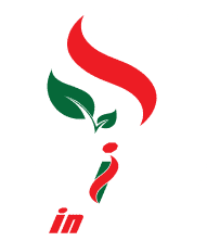 Spice In Charge